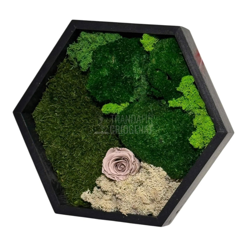 Tablou Hexagonal Cu Mușchi Licheni Și Trandafir Criogenat Eleganță Naturală În Ramă Modernă De 35 Cm - Trandafir - Criogenat.ro