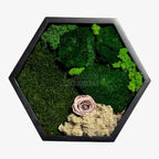 Tablou Hexagonal Cu Mușchi Licheni Și Trandafir Criogenat Eleganță Naturală În Ramă Modernă De 35 Cm - Trandafir - Criogenat.ro