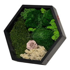Tablou Hexagonal Cu Mușchi Licheni Și Trandafir Criogenat Eleganță Naturală În Ramă Modernă De 35 Cm - Trandafir - Criogenat.ro