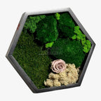 Tablou Hexagonal Cu Mușchi Licheni Și Trandafir Criogenat Eleganță Naturală În Ramă Modernă De 35 Cm - Trandafir - Criogenat.ro