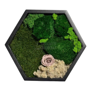 Tablou Hexagonal Cu Mușchi Licheni Și Trandafir Criogenat Eleganță Naturală În Ramă Modernă De 35 Cm - Trandafir - Criogenat.ro