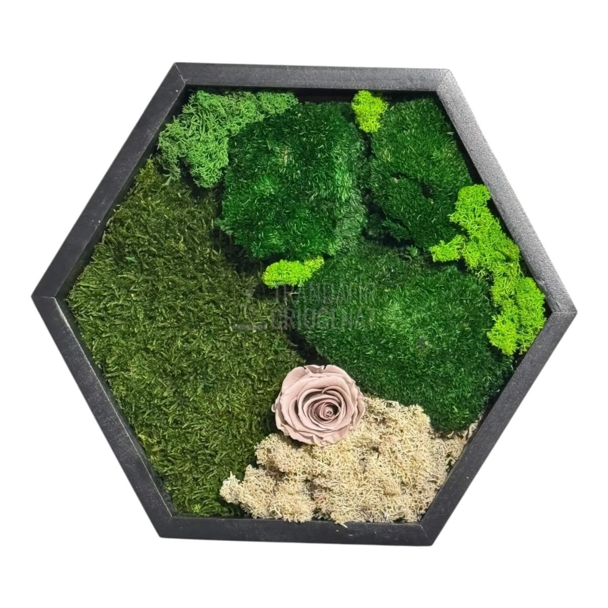 Tablou Hexagonal Cu Mușchi Licheni Și Trandafir Criogenat Eleganță Naturală În Ramă Modernă De 35 Cm - Trandafir - Criogenat.ro