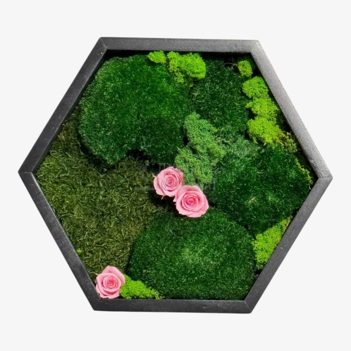 Tablou Hexagonal Cu Mușchi Licheni Trandafiri Criogenați Roz Natură Eleganță Diametru 35 cm - Trandafir - Criogenat.ro