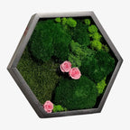 Tablou Hexagonal Cu Mușchi Licheni Trandafiri Criogenați Roz Natură Eleganță Diametru 35 cm - Trandafir - Criogenat.ro