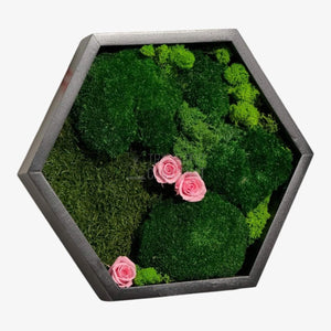 Tablou Hexagonal Cu Mușchi Licheni Trandafiri Criogenați Roz Natură Eleganță Diametru 35 cm - Trandafir - Criogenat.ro
