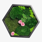 Tablou Hexagonal Cu Mușchi Licheni Trandafiri Criogenați Roz Natură Eleganță Diametru 35 cm - Trandafir - Criogenat.ro
