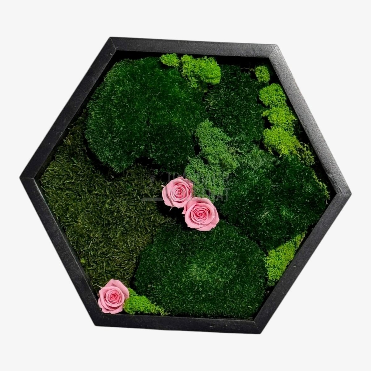 Tablou Hexagonal Cu Mușchi Licheni Trandafiri Criogenați Roz Natură Eleganță Diametru 35 cm - Trandafir - Criogenat.ro