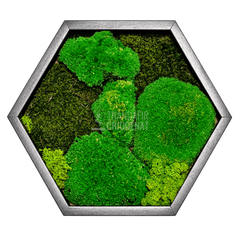 Tablou hexagonal cu mușchi stabilizat