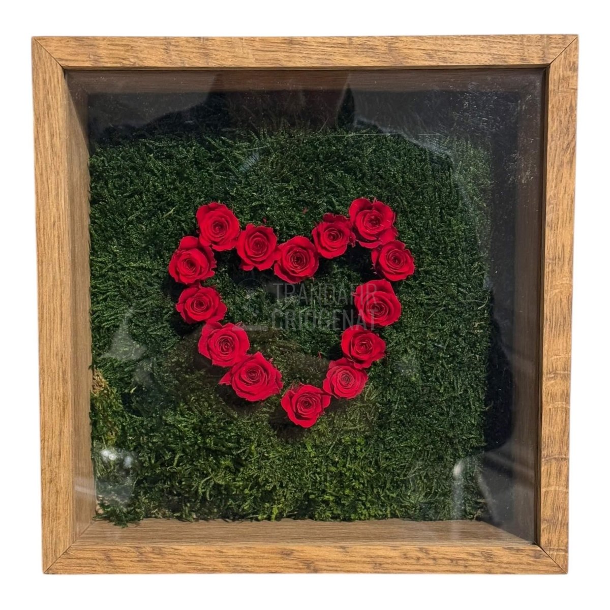Tablou Inimă Cu Trandafiri Criogenați Și Mușchi Stabilizat Simbol Al Iubirii Nemuritoare 27x27cm - Trandafir - Criogenat.ro