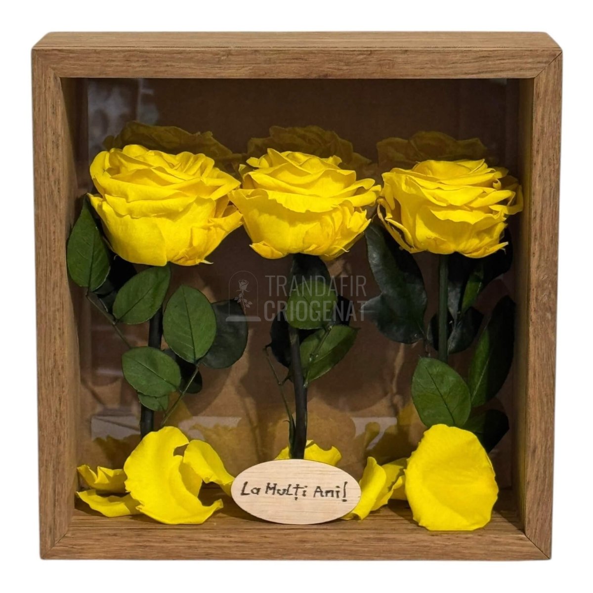 Tablou Natural 27x27 cm Cu 3 Trandafiri Criogenați Galbeni Premium În Ramă Din Stejar Masiv - Trandafir - Criogenat.ro