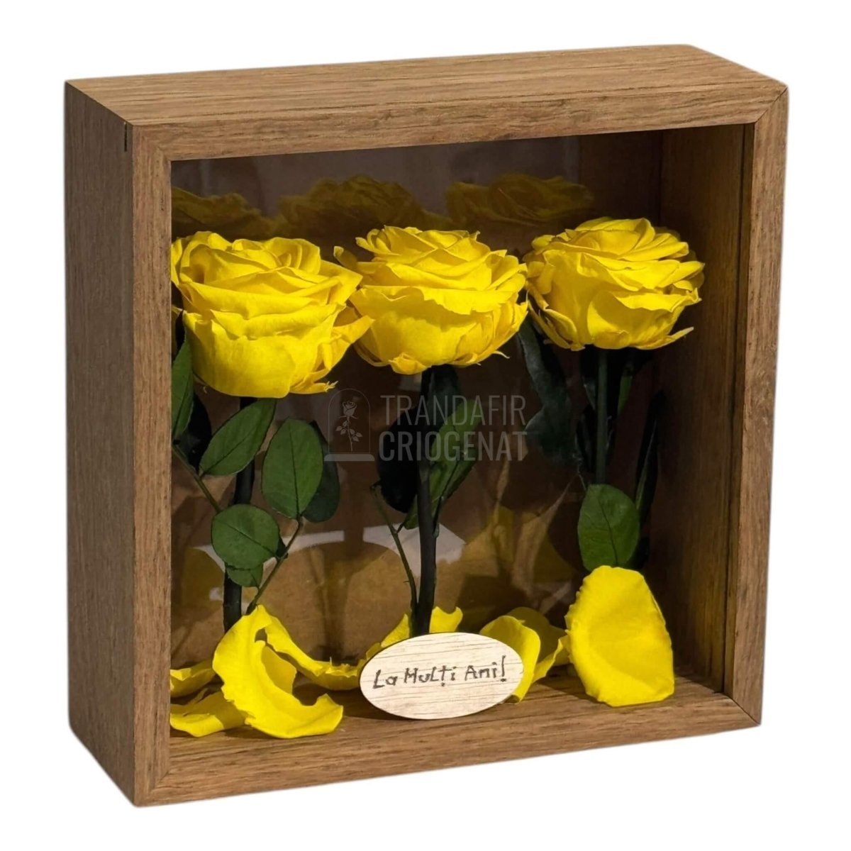 Tablou Natural 27x27 cm Cu 3 Trandafiri Criogenați Galbeni Premium În Ramă Din Stejar Masiv - Trandafir - Criogenat.ro
