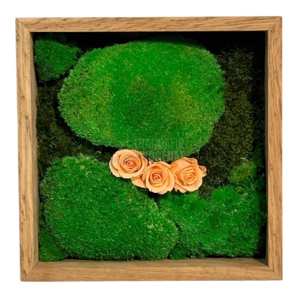 Tablou Natural 27x27 cm cu Mușchi Bombat și Plat Stabilizat cu 3 Trandafiri Criogenați Piersică - Trandafir - Criogenat.ro