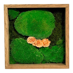 Tablou Natural 27x27 cm cu Mușchi Bombat și Plat Stabilizat cu 3 Trandafiri Criogenați Piersică - Trandafir - Criogenat.ro