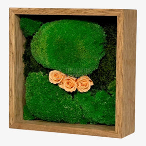 Tablou Natural 27x27 cm cu Mușchi Bombat și Plat Stabilizat cu 3 Trandafiri Criogenați Piersică - Trandafir - Criogenat.ro