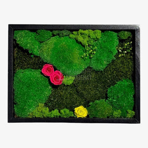 Tablou Natural 30x40 Cm Cu Mușchi Stabilizat Licheni Decorativi Și Trandafiri Criogenați În Rama Neagră - Trandafir - Criogenat.ro
