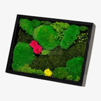 Tablou Natural 30x40 Cm Cu Mușchi Stabilizat Licheni Decorativi Și Trandafiri Criogenați În Rama Neagră - Trandafir - Criogenat.ro