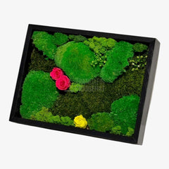 Tablou Natural 30x40 Cm Cu Mușchi Stabilizat Licheni Decorativi Și Trandafiri Criogenați În Rama Neagră - Trandafir - Criogenat.ro