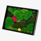 Tablou Natural 30x40 Cm Cu Mușchi Stabilizat Licheni Decorativi Și Trandafiri Criogenați În Rama Neagră - Trandafir - Criogenat.ro