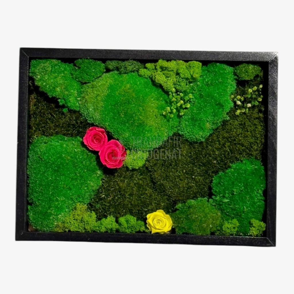 Tablou Natural 30x40 Cm Cu Mușchi Stabilizat Licheni Decorativi Și Trandafiri Criogenați În Rama Neagră - Trandafir - Criogenat.ro