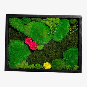 Tablou Natural 30x40 Cm Cu Mușchi Stabilizat Licheni Decorativi Și Trandafiri Criogenați În Rama Neagră - Trandafir - Criogenat.ro