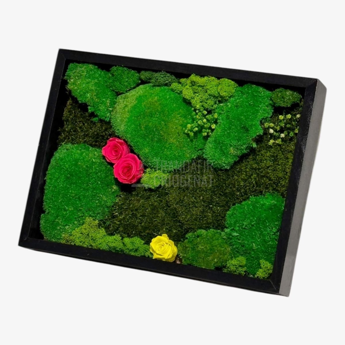 Tablou Natural 30x40 Cm Cu Mușchi Stabilizat Licheni Decorativi Și Trandafiri Criogenați În Rama Neagră - Trandafir - Criogenat.ro