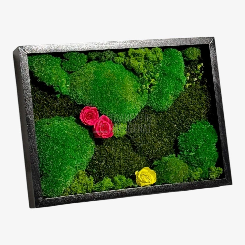 Tablou Natural 30x40 Cm Cu Mușchi Stabilizat Licheni Decorativi Și Trandafiri Criogenați În Rama Neagră - Trandafir - Criogenat.ro