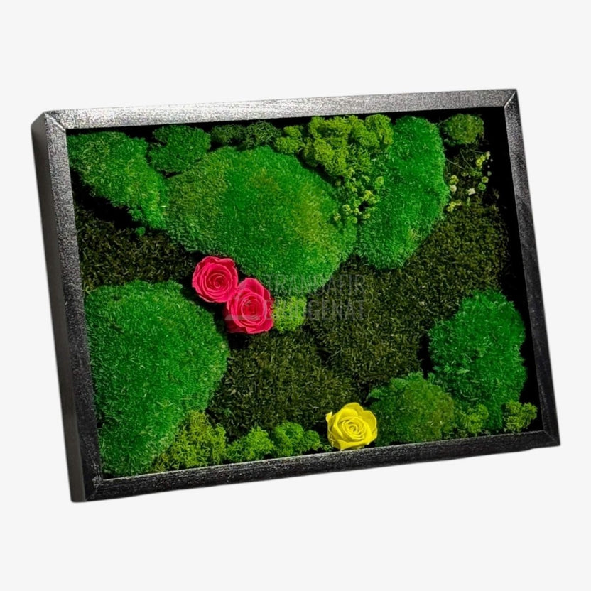Tablou Natural 30x40 Cm Cu Mușchi Stabilizat Licheni Decorativi Și Trandafiri Criogenați În Rama Neagră - Trandafir - Criogenat.ro