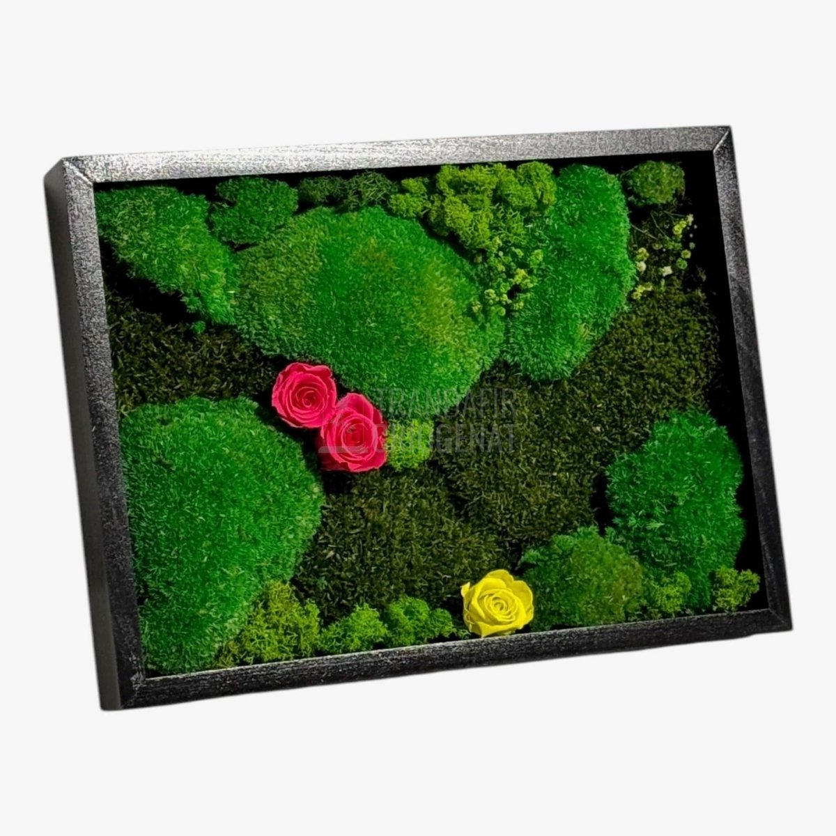 Tablou Natural 30x40 Cm Cu Mușchi Stabilizat Licheni Decorativi Și Trandafiri Criogenați În Rama Neagră - Trandafir - Criogenat.ro