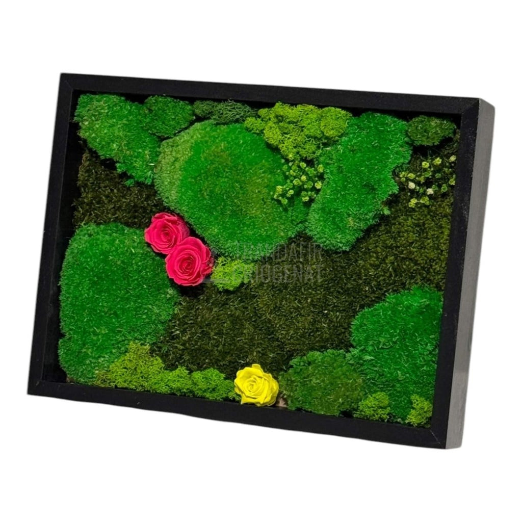 Tablou Natural 30x40 Cm Cu Mușchi Stabilizat Licheni Decorativi Și Trandafiri Criogenați În Rama Neagră - Trandafir - Criogenat.ro