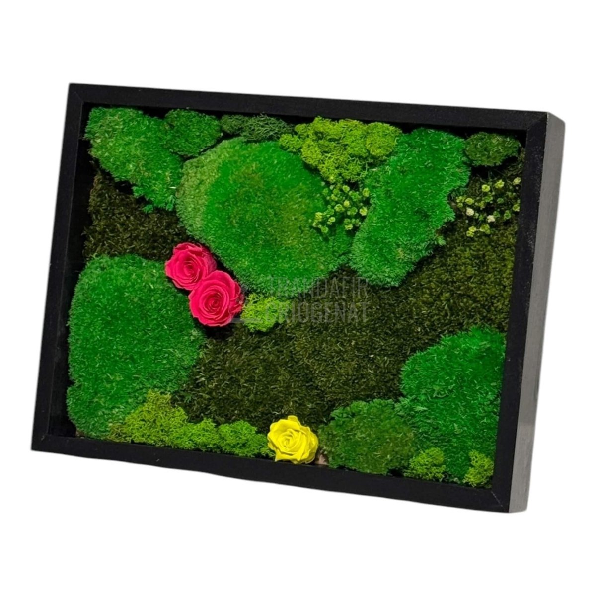 Tablou Natural 30x40 Cm Cu Mușchi Stabilizat Licheni Decorativi Și Trandafiri Criogenați În Rama Neagră - Trandafir - Criogenat.ro
