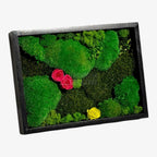 Tablou Natural 30x40 Cm Cu Mușchi Stabilizat Licheni Decorativi Și Trandafiri Criogenați În Rama Neagră - Trandafir - Criogenat.ro