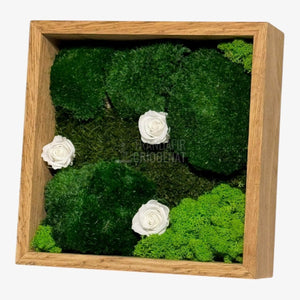 Tablou Natural Cu 3 Trandafiri Criogenați Albi Mușchi Și Licheni Ramă Stejar Masiv 27x27 Cm Elegant - Trandafir - Criogenat.ro