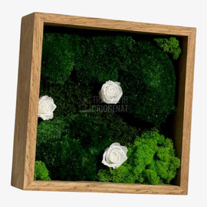 Tablou Natural Cu 3 Trandafiri Criogenați Albi Mușchi Și Licheni Ramă Stejar Masiv 27x27 Cm Elegant - Trandafir - Criogenat.ro