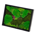 Tablou Natural Cu Mușchi Bombat Stabilizat Și Mușchi Plat Stabilizat Licheni Decorativi Naturali 30x40 Cm - Trandafir - Criogenat.ro