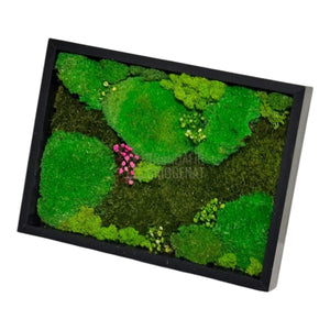 Tablou Natural Cu Mușchi Bombat Stabilizat Și Mușchi Plat Stabilizat Licheni Decorativi Naturali 30x40 Cm - Trandafir - Criogenat.ro