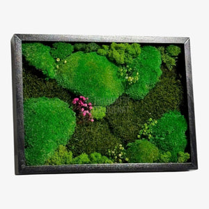 Tablou Natural Cu Mușchi Bombat Stabilizat Și Mușchi Plat Stabilizat Licheni Decorativi Naturali 30x40 Cm - Trandafir - Criogenat.ro