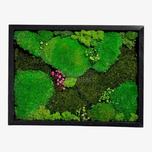 Tablou Natural Cu Mușchi Bombat Stabilizat Și Mușchi Plat Stabilizat Licheni Decorativi Naturali 30x40 Cm - Trandafir - Criogenat.ro