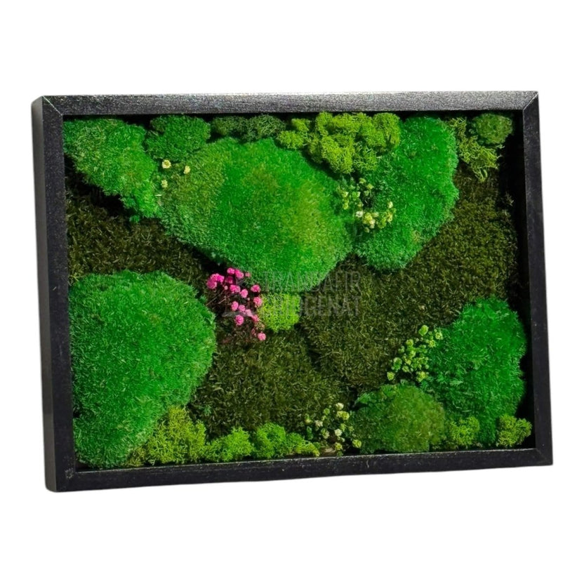 Tablou Natural Cu Mușchi Bombat Stabilizat Și Mușchi Plat Stabilizat Licheni Decorativi Naturali 30x40 Cm - Trandafir - Criogenat.ro