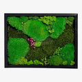 Tablou Natural Cu Mușchi Bombat Stabilizat Și Mușchi Plat Stabilizat Licheni Decorativi Naturali 30x40 Cm - Trandafir - Criogenat.ro