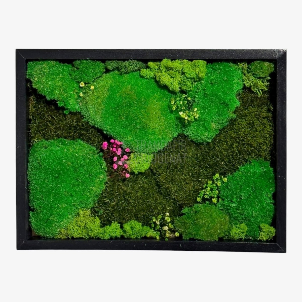 Tablou natural cu mușchi bombat stabilizat și mușchi plat stabilizat licheni decorativi naturali 30 × 40 cm