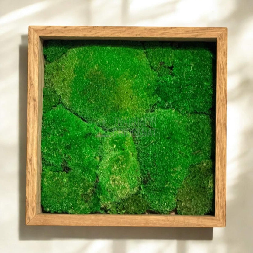 Tablou Natural Cu Mușchi Bombat Stabilizat Verde Viu Fără Întreținere Pentru Decor Interior Elegant - Trandafir - Criogenat.ro