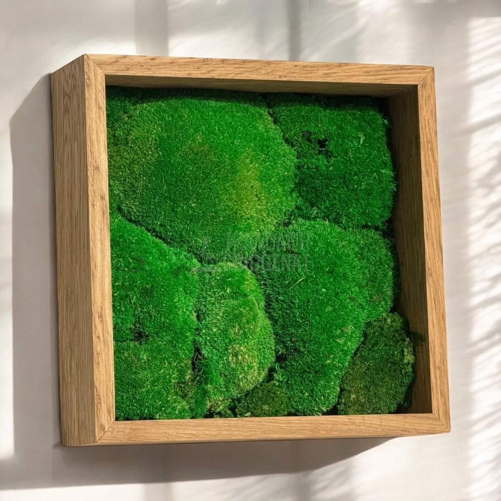 Tablou Natural Cu Mușchi Bombat Stabilizat Verde Viu Fără Întreținere Pentru Decor Interior Elegant - Trandafir - Criogenat.ro