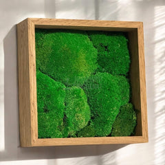 Tablou Natural Cu Mușchi Bombat Stabilizat Verde Viu Fără Întreținere Pentru Decor Interior Elegant - Trandafir - Criogenat.ro