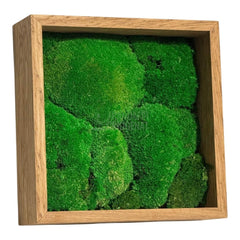 Tablou Natural Cu Mușchi Bombat Stabilizat Verde Viu Fără Întreținere Pentru Decor Interior Elegant - Trandafir - Criogenat.ro
