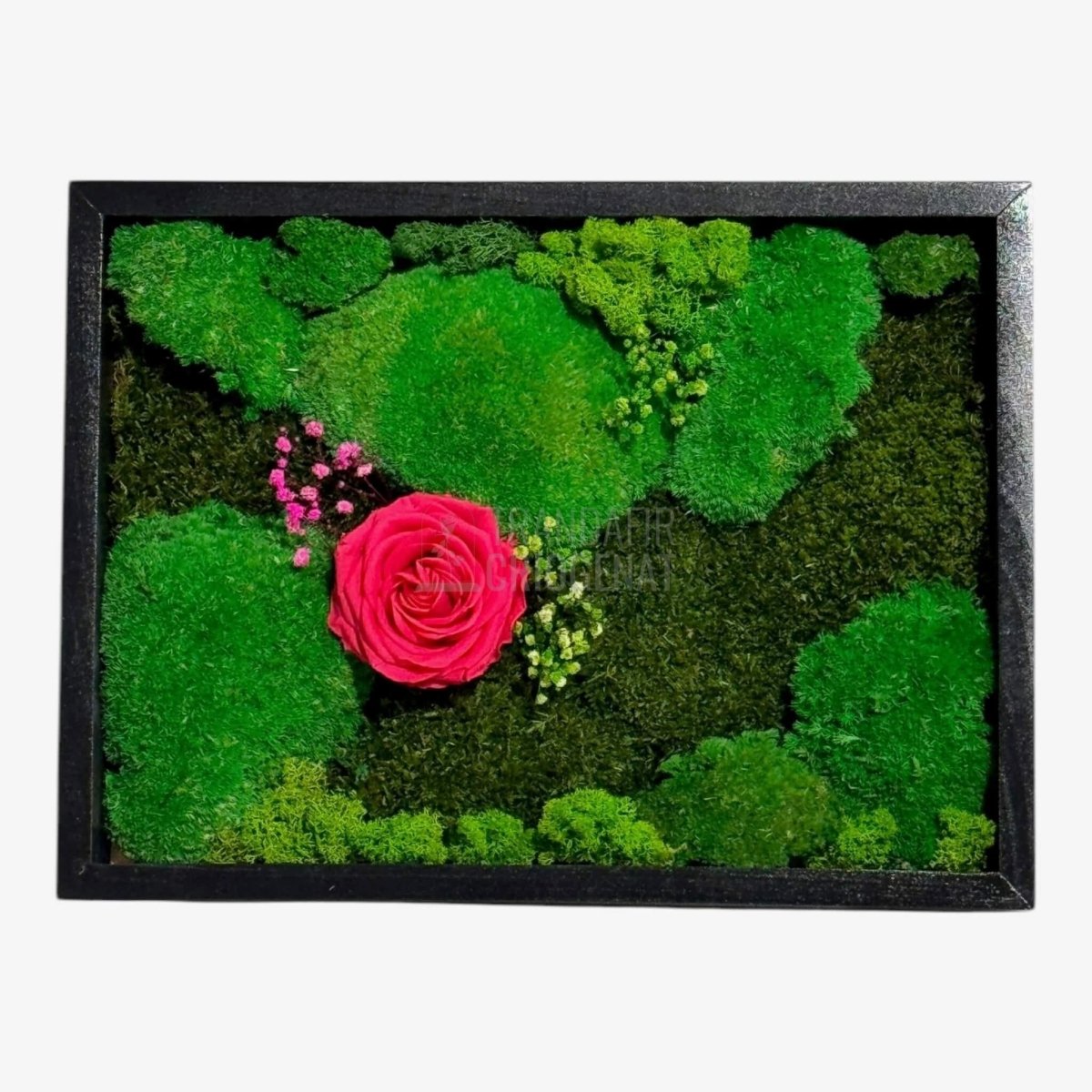 Tablou Natural Cu Mușchi Licheni Și Trandafir Criogenat Roz Închis 30x40 Cm Decor Elegant Pentru Sufragerie Sau Birou - Trandafir - Criogenat.ro