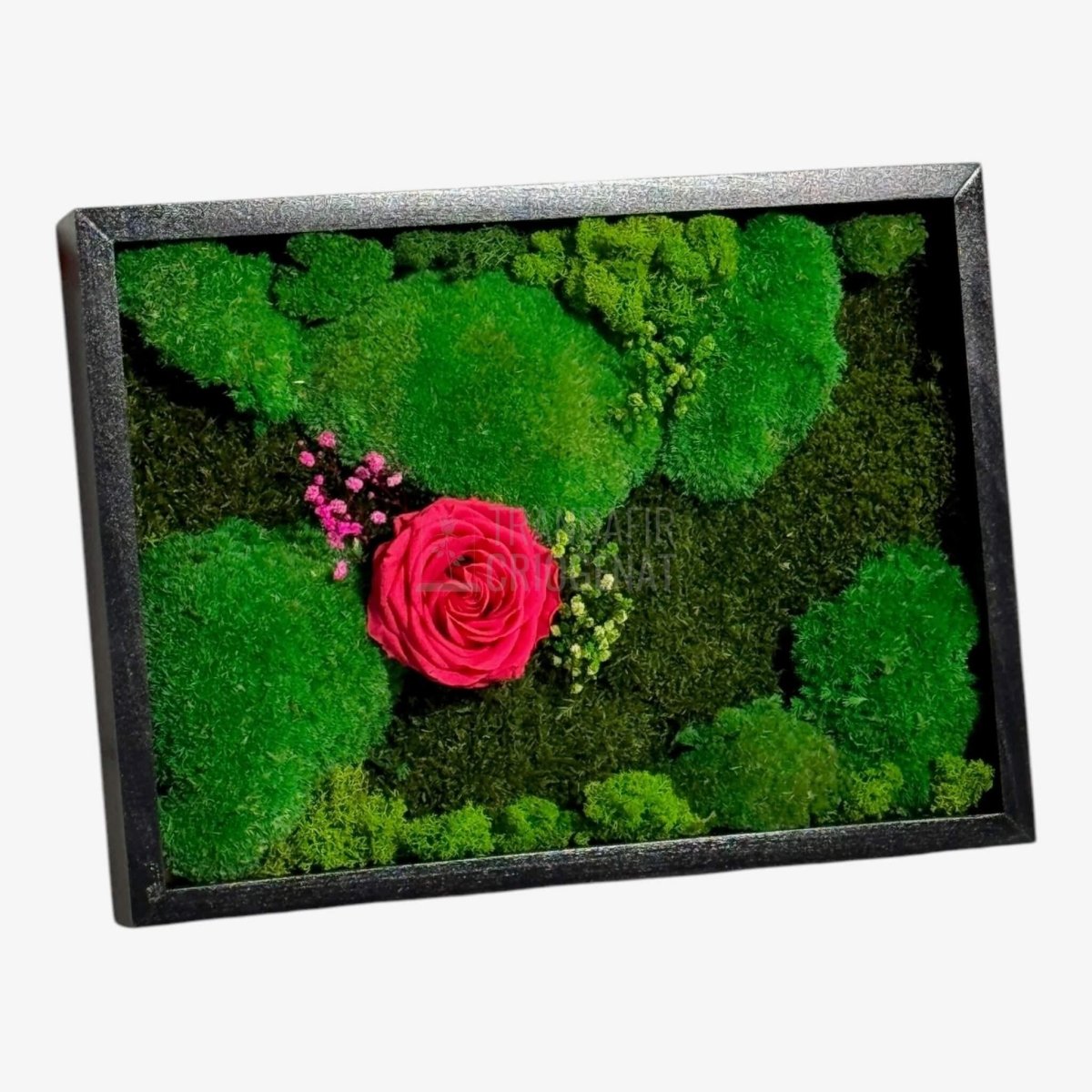 Tablou Natural Cu Mușchi Licheni Și Trandafir Criogenat Roz Închis 30x40 Cm Decor Elegant Pentru Sufragerie Sau Birou - Trandafir - Criogenat.ro