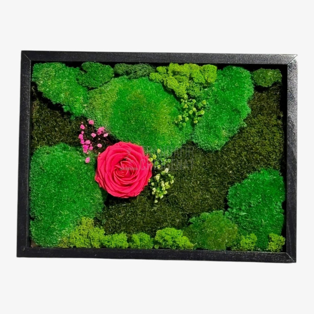 Tablou Natural Cu Mușchi Licheni Și Trandafir Criogenat Roz Închis 30x40 Cm Decor Elegant Pentru Sufragerie Sau Birou - Trandafir - Criogenat.ro
