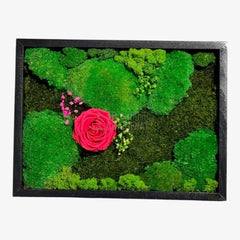 Tablou Natural Cu Mușchi Licheni Și Trandafir Criogenat Roz Închis 30x40 Cm Decor Elegant Pentru Sufragerie Sau Birou - Trandafir - Criogenat.ro