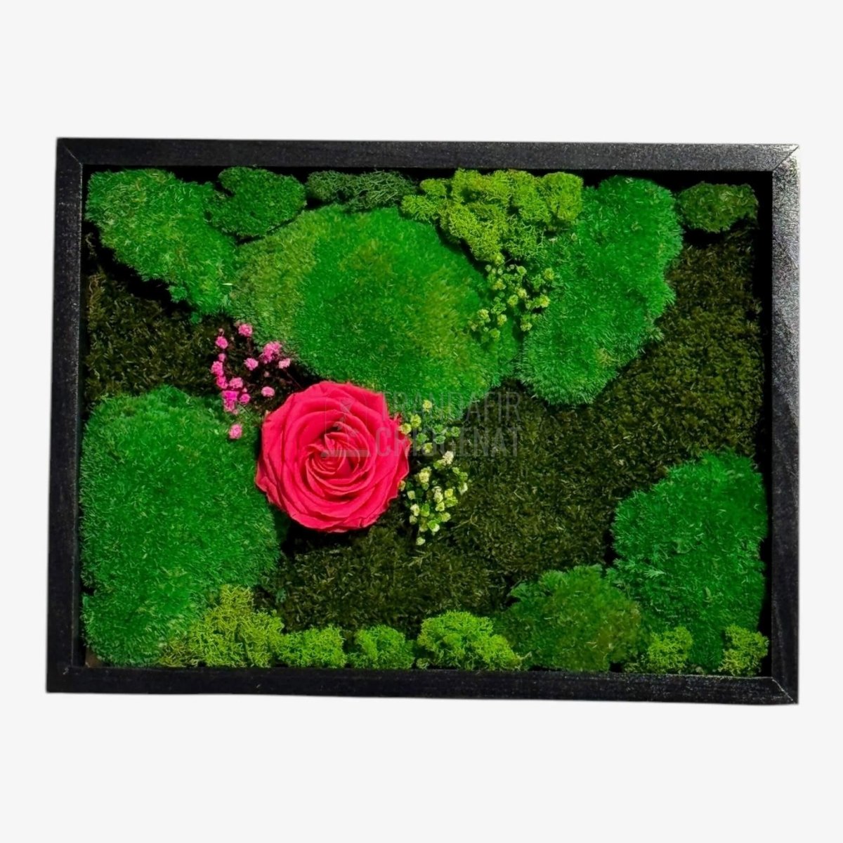 Tablou Natural Cu Mușchi Licheni Și Trandafir Criogenat Roz Închis 30x40 Cm Decor Elegant Pentru Sufragerie Sau Birou - Trandafir - Criogenat.ro