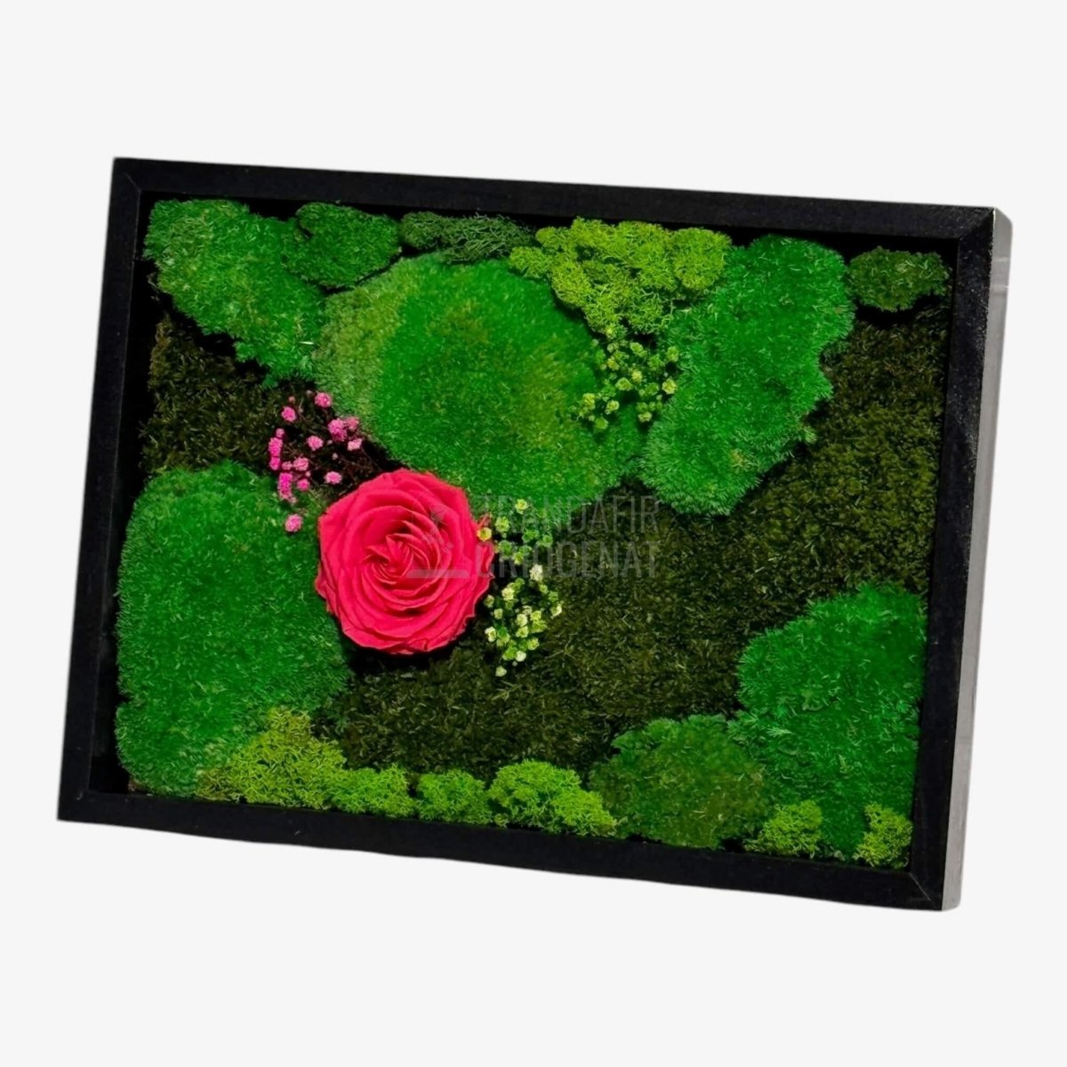 Tablou Natural Cu Mușchi Licheni Și Trandafir Criogenat Roz Închis 30x40 Cm Decor Elegant Pentru Sufragerie Sau Birou - Trandafir - Criogenat.ro